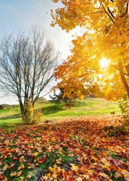 October